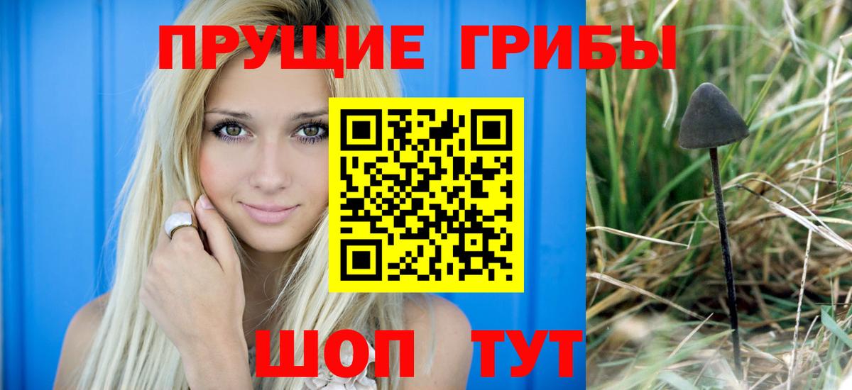 Псилоцибиновые грибы мухоморы  Вход с VPN  Тверь 